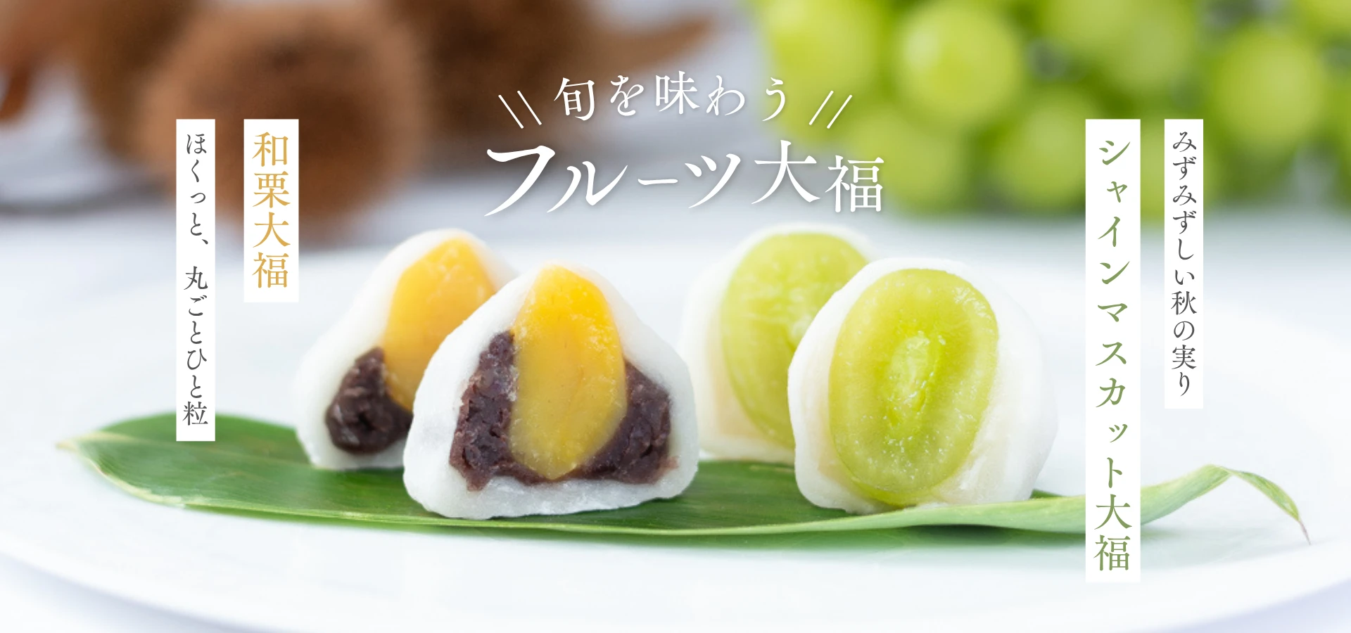 旬を味わうフルーツ大福（和栗大福・シャインマスカット大福）｜菓心まるいち